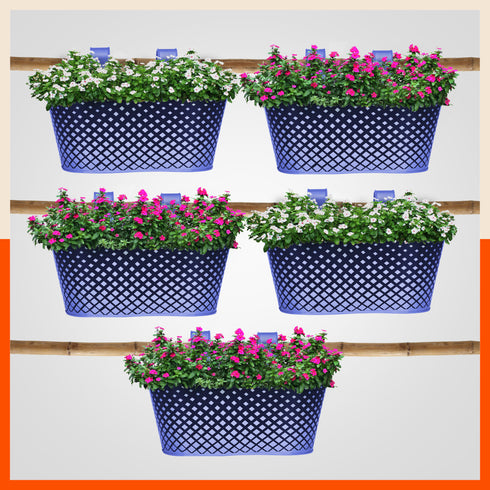 DIA Hanging Metal Pot Holders / Planters for Home / Balcony / Garden | Lavender - Set of 5